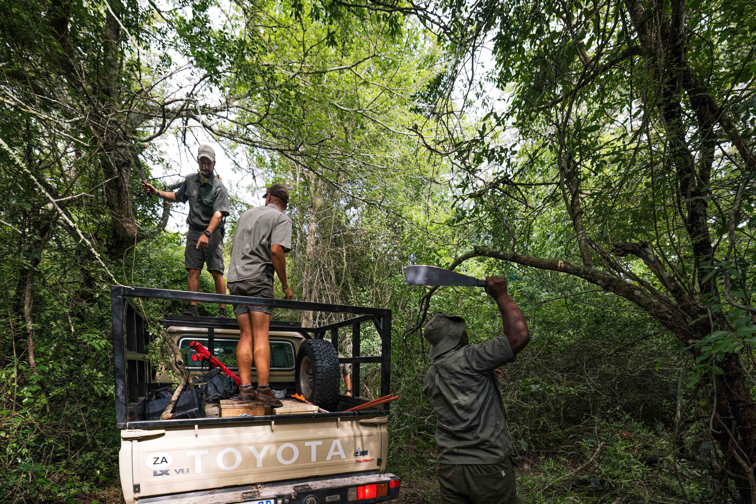 Pt 3 Tembe to Phinda Elephant Translocation by Wiki West 2mb no wm-2286
