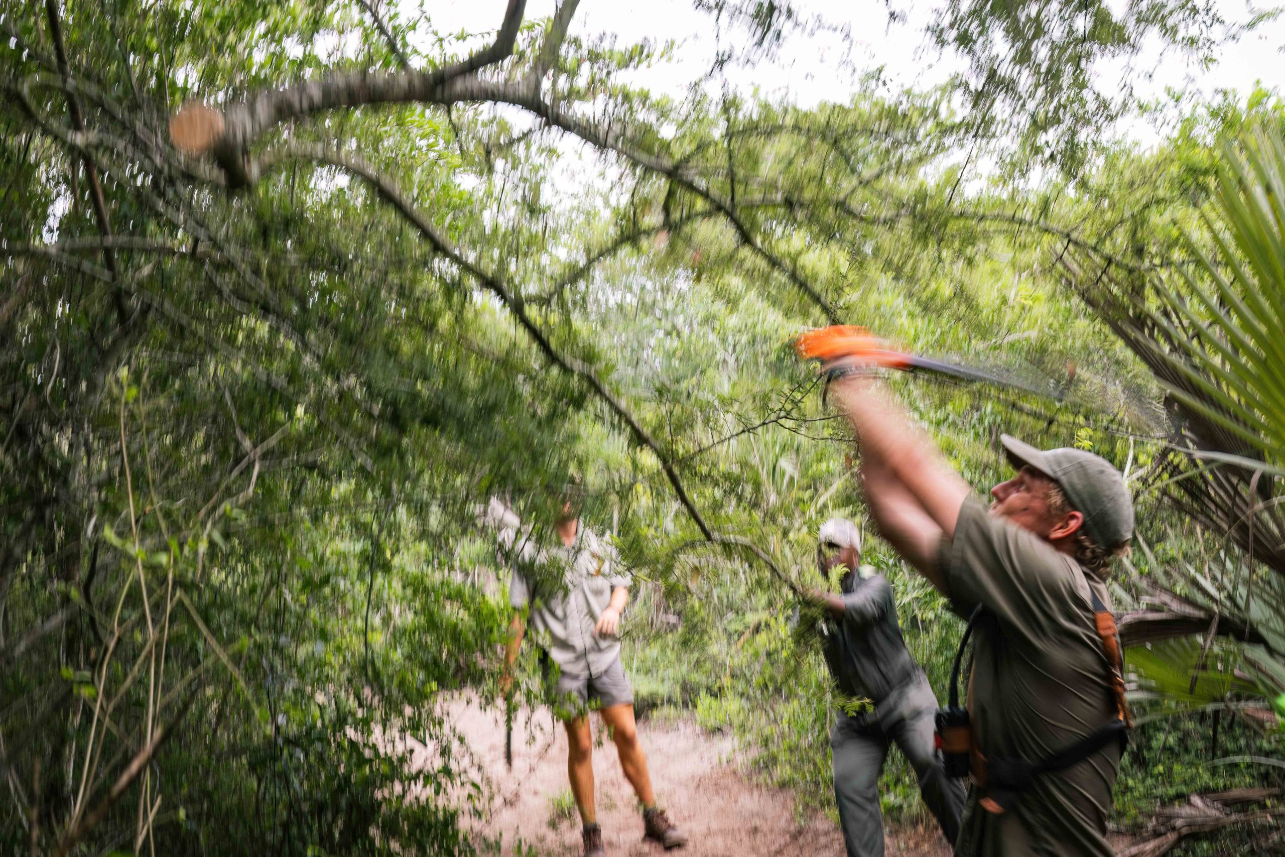 Pt 3 Tembe to Phinda Elephant Translocation by Wiki West 2mb no wm-2401