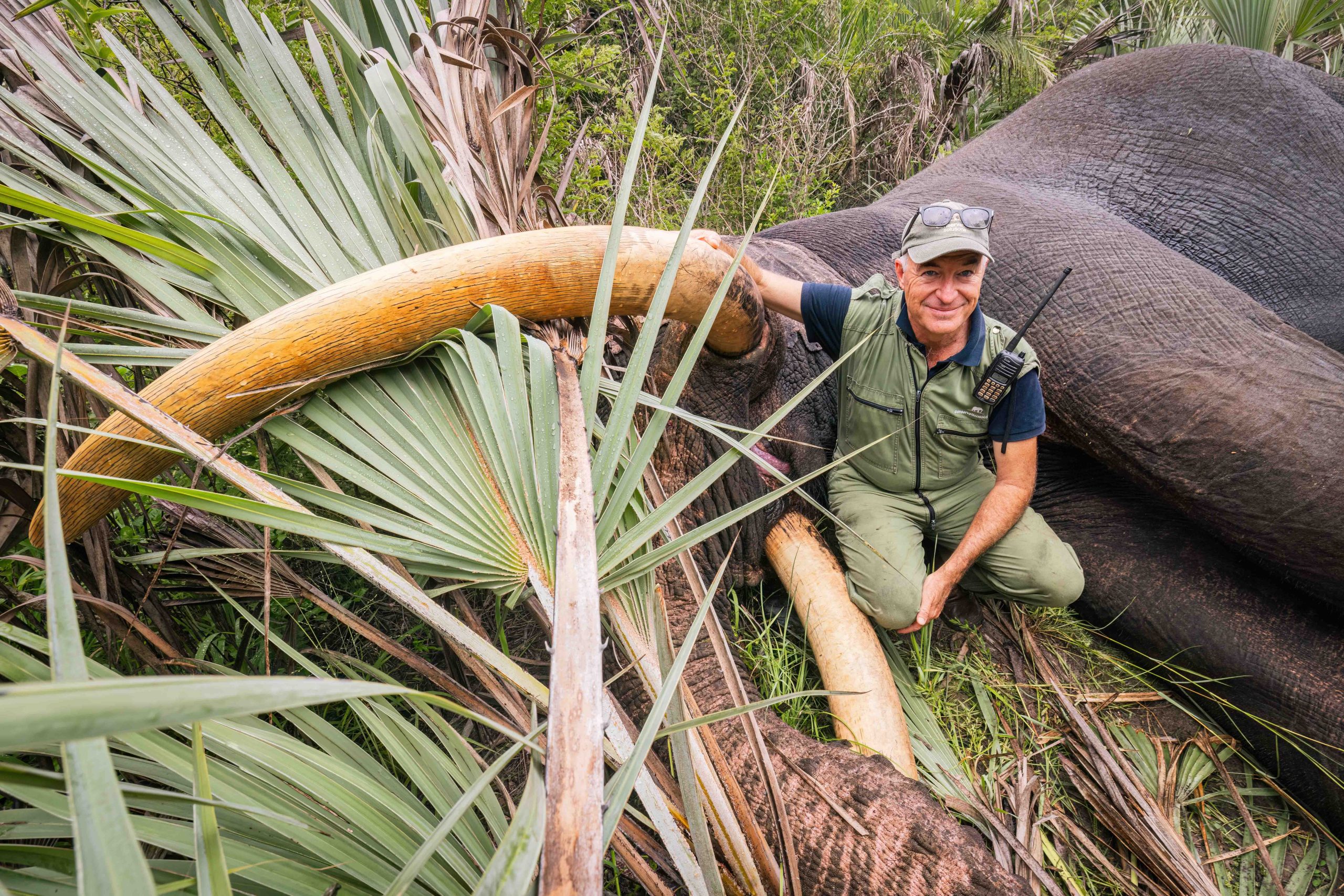 Pt 3 Tembe to Phinda Elephant Translocation by Wiki West 2mb no wm-2837