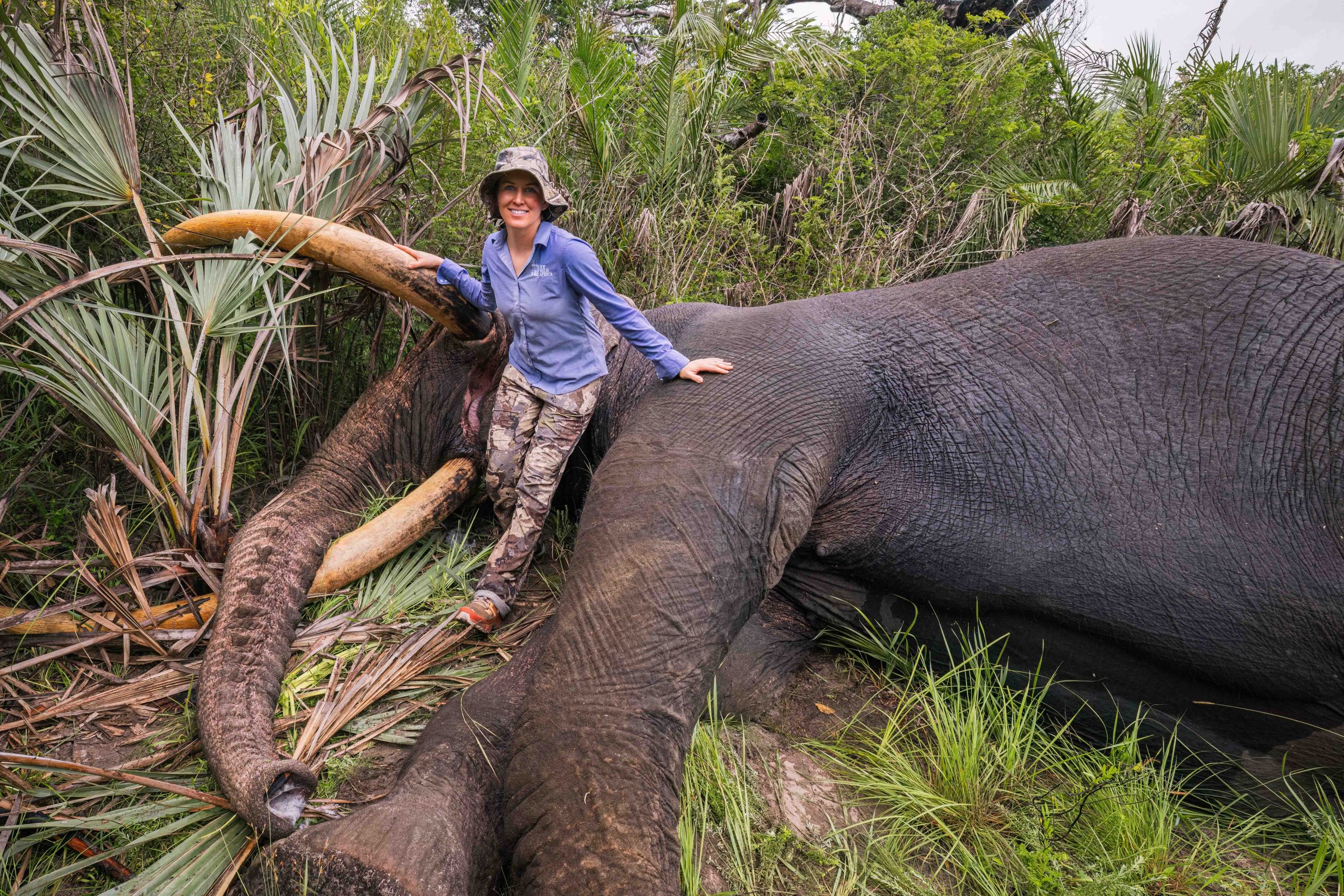 Pt 3 Tembe to Phinda Elephant Translocation by Wiki West 2mb no wm-2845