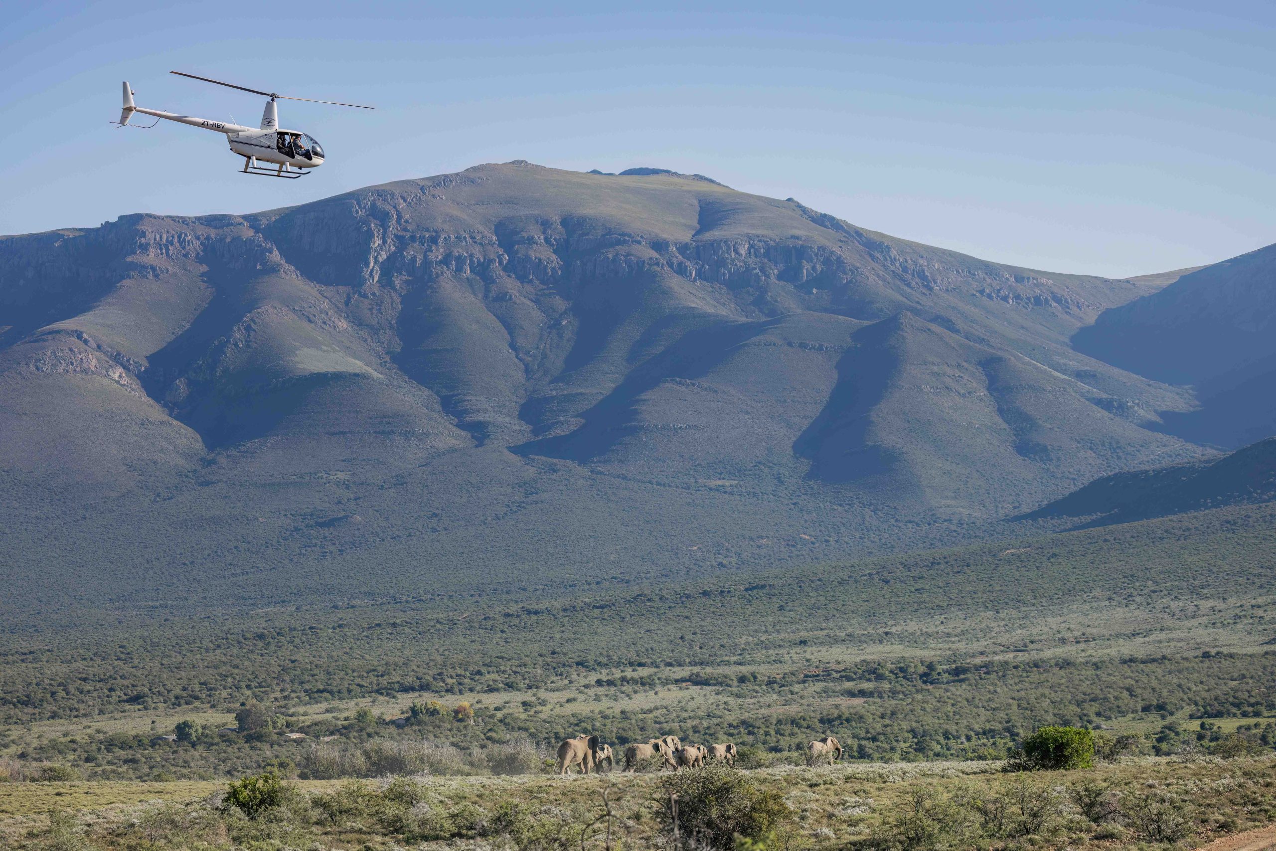 Asante Sana Ele Top Press Images 2mb by wiki west-Asante_Longhill_Wildlife_Emergency _Fund_Elephants_May_2025_by_Wiki_West_Large_no_wm_srgb-6495