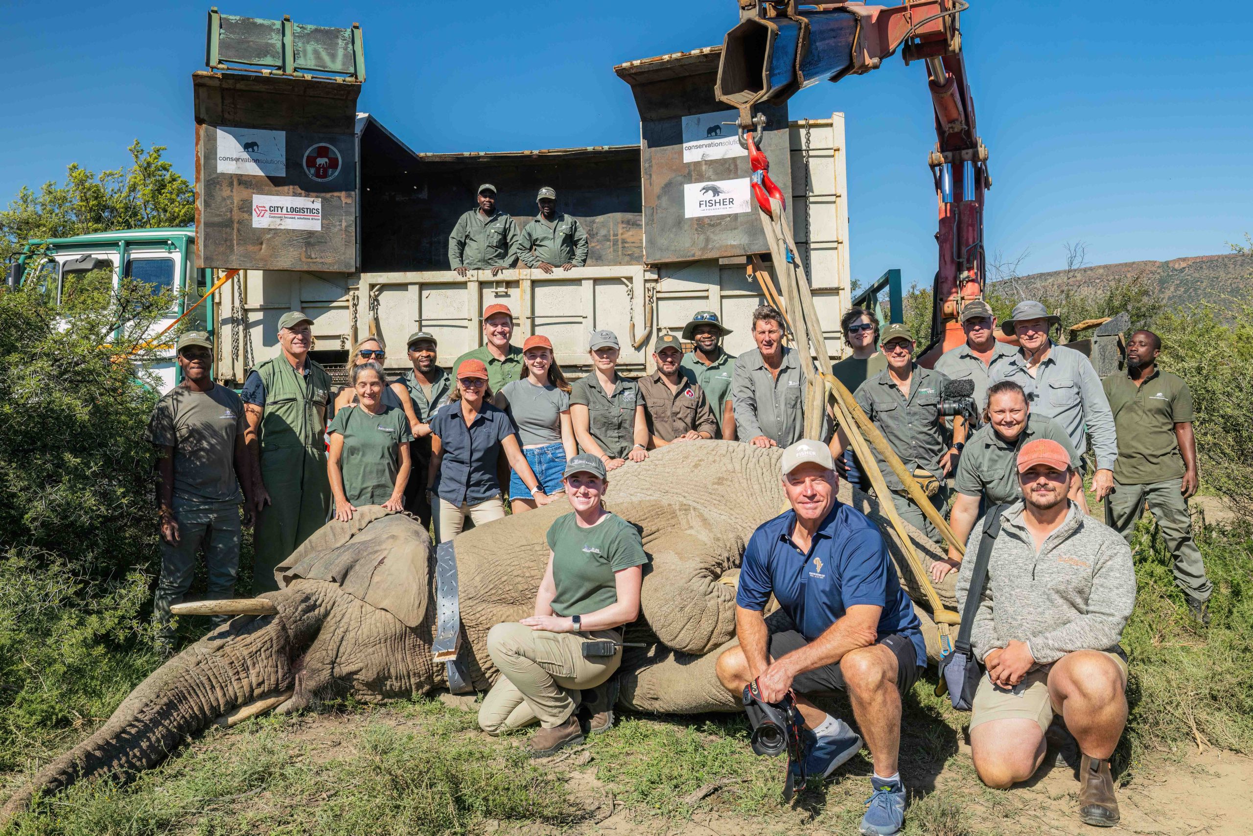 Asante Sana Ele Top Press Images 2mb by wiki west-Asante_Longhill_Wildlife_Emergency _Fund_Elephants_May_2025_by_Wiki_West_Large_no_wm_srgb-7385