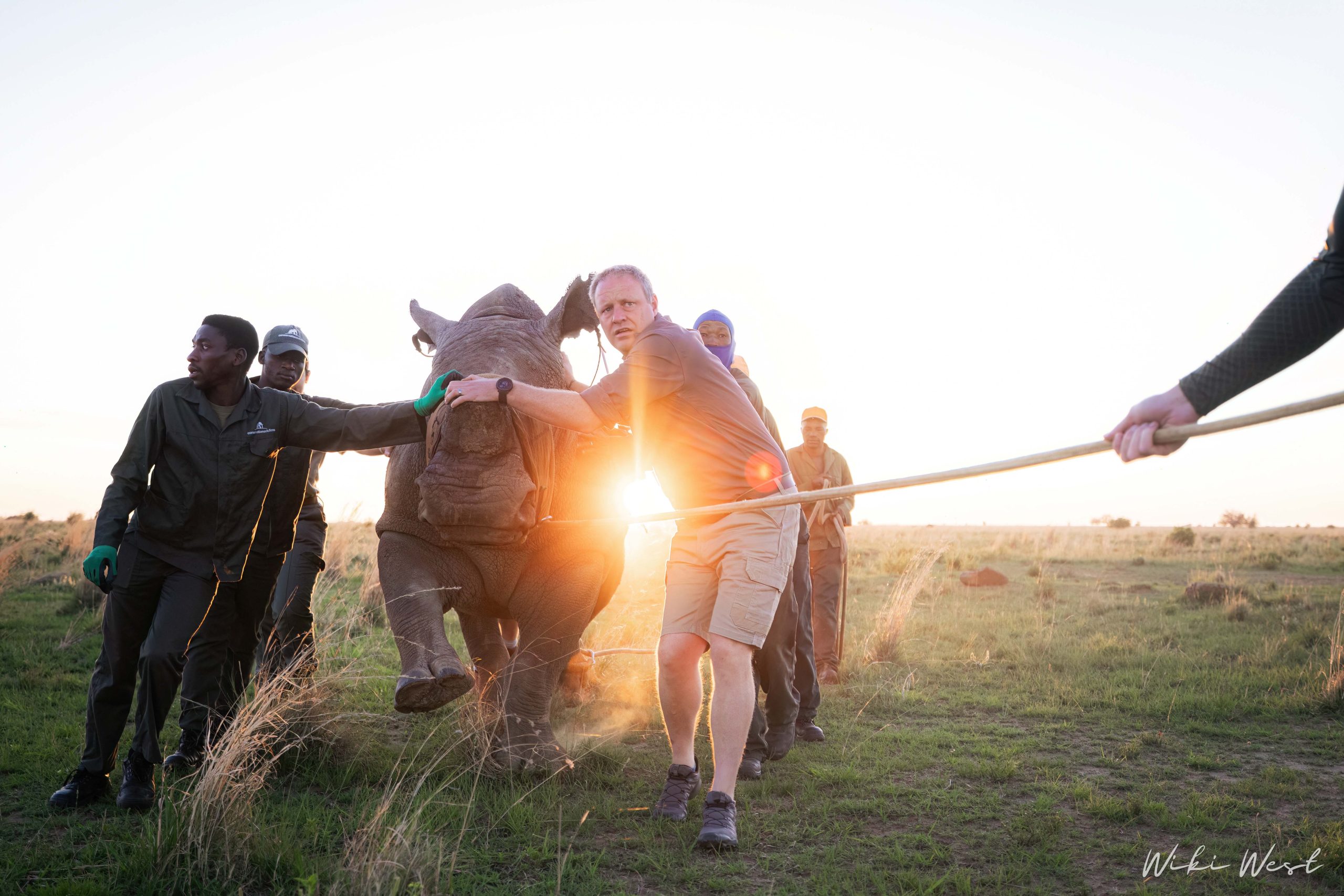 KZN Rhino Rewild Translocation part 1 2mb for blogs-10