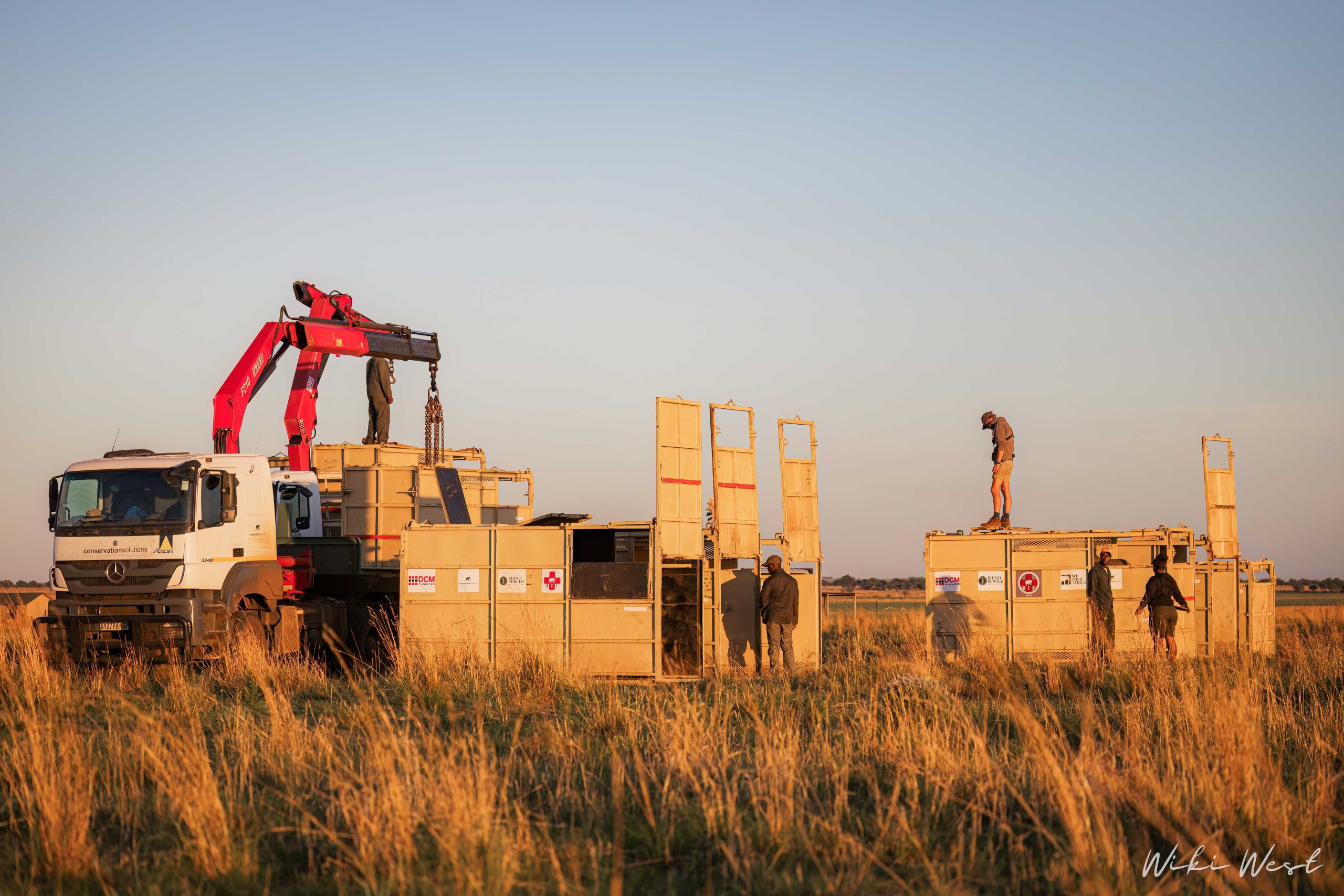 KZN Rhino Rewild Translocation part 1 2mb for blogs-15