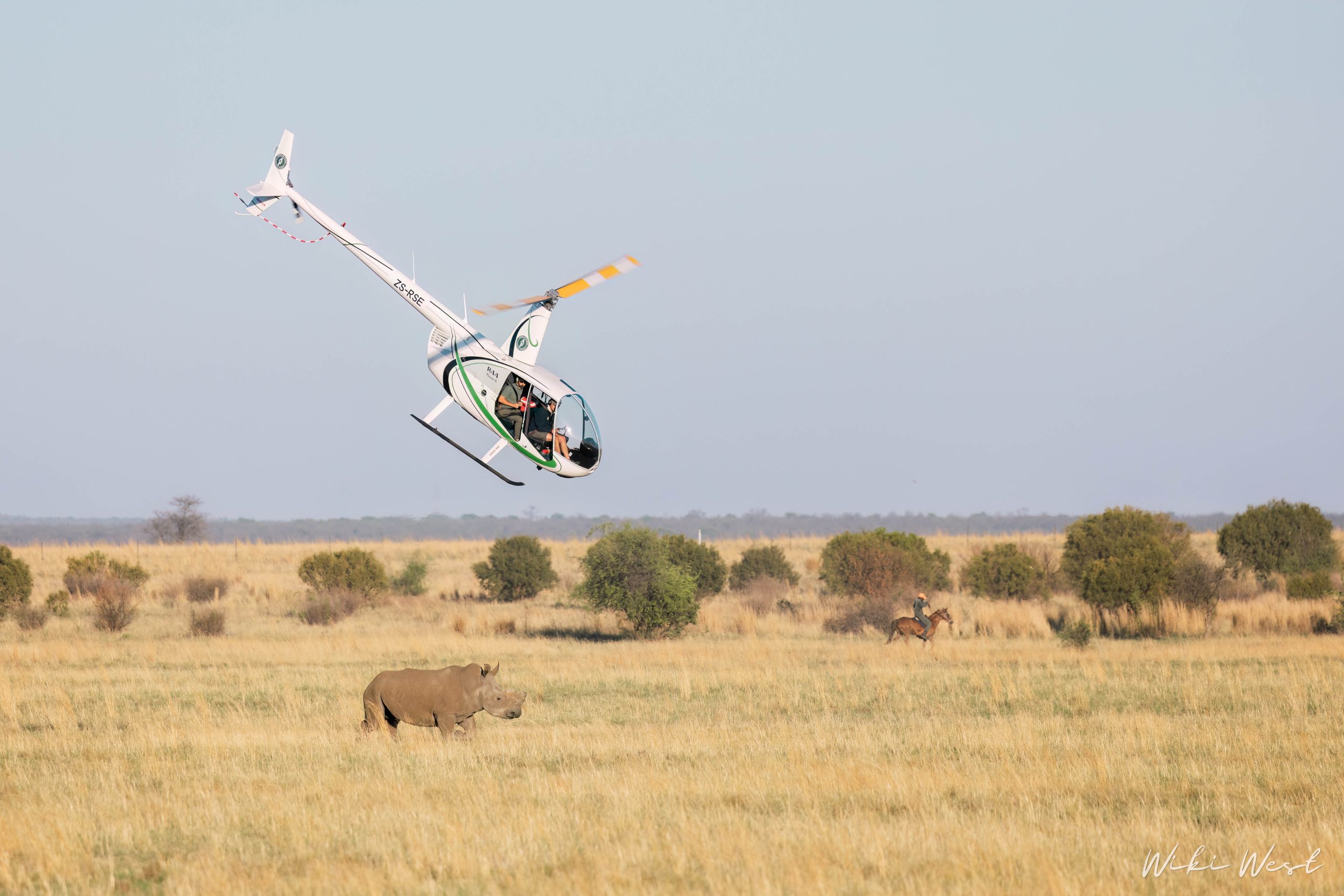 KZN Rhino Rewild Translocation part 1 2mb for blogs-22