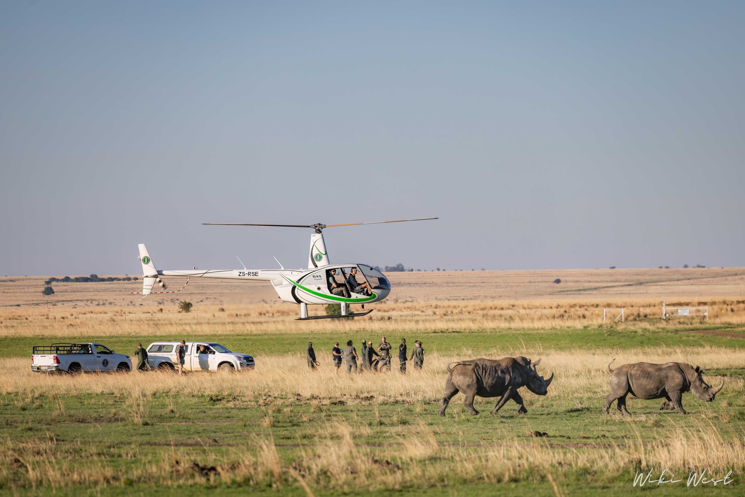 KZN Rhino Rewild Translocation part 1 2mb for blogs-26