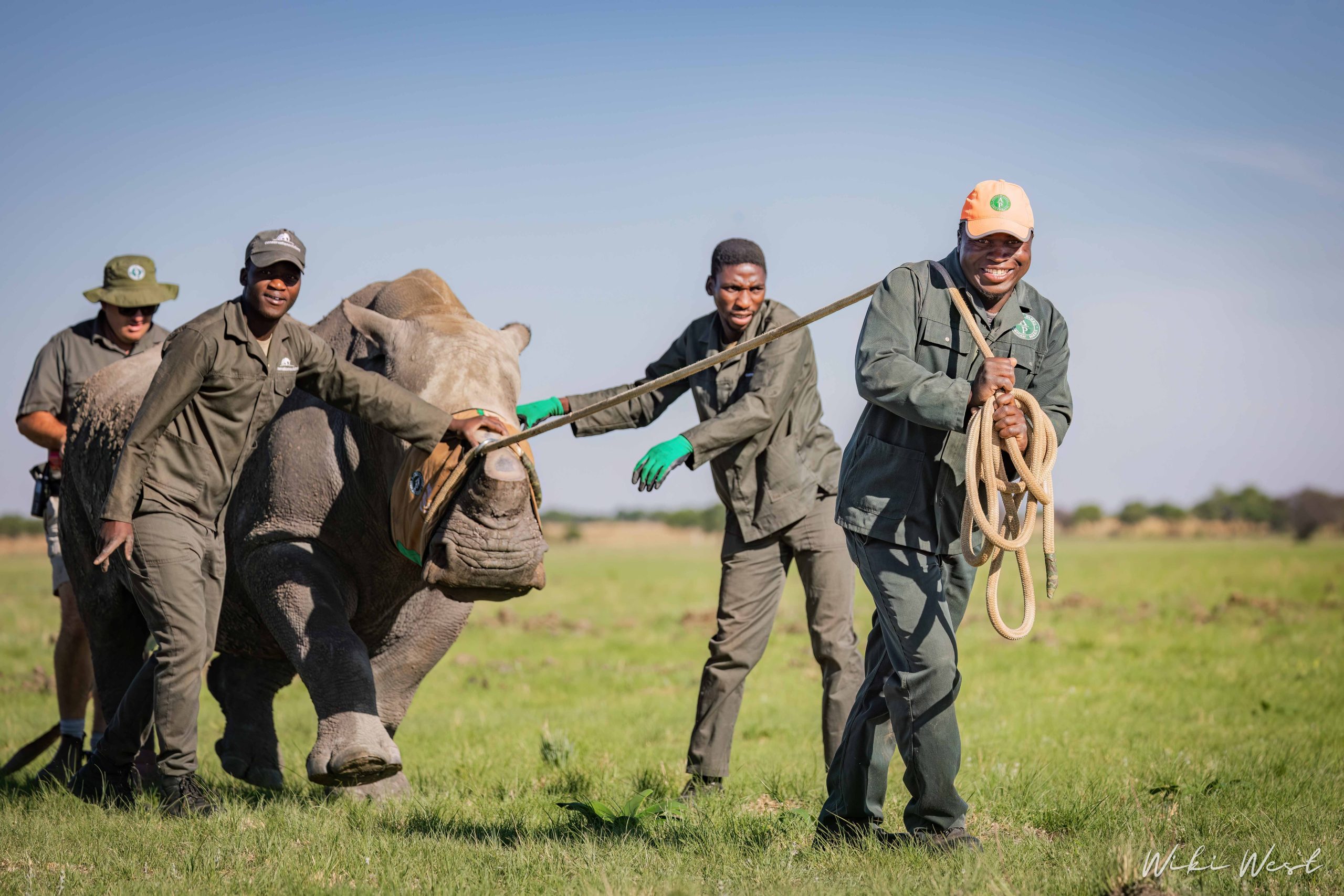 KZN Rhino Rewild Translocation part 1 2mb for blogs-38