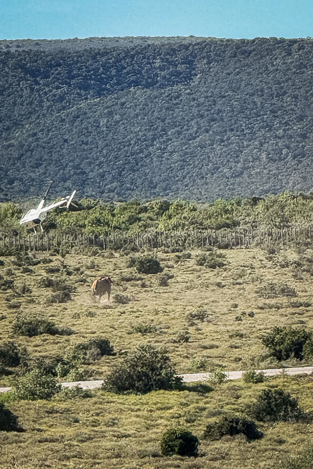 addo edited 2mb may 2025-WhatsApp Image 2025-05-12 at 22.29.12_96b9f77b