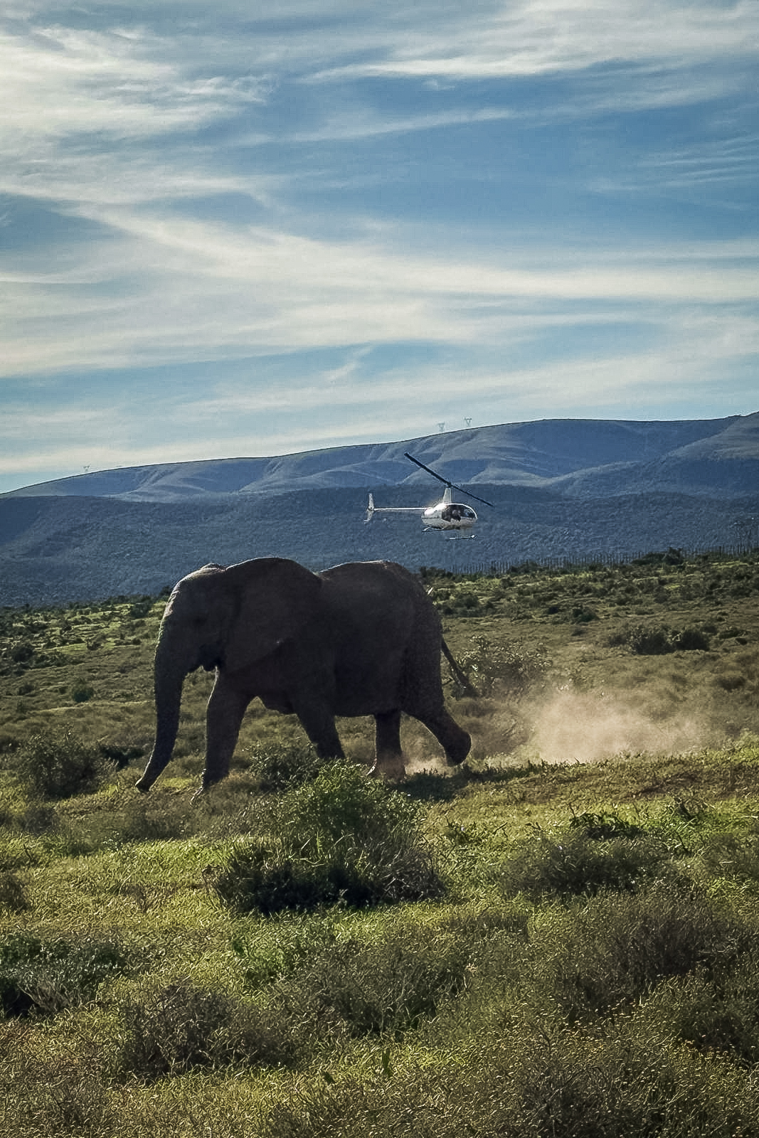 addo edited 2mb may 2025-WhatsApp Image 2025-05-12 at 22.29.14_d3f7e461