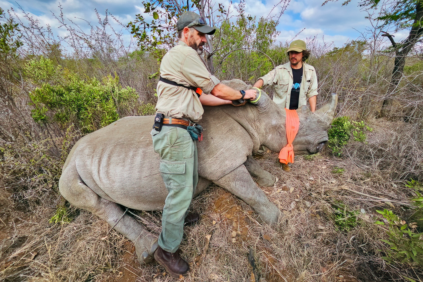 wewild_africa_edited_photos_loskop_2023_2mb-15