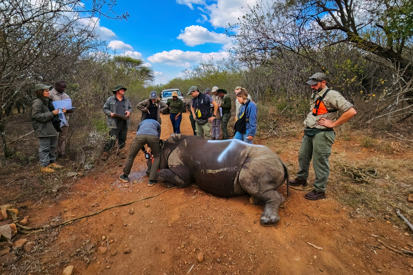wewild_africa_edited_photos_loskop_2023_2mb-19