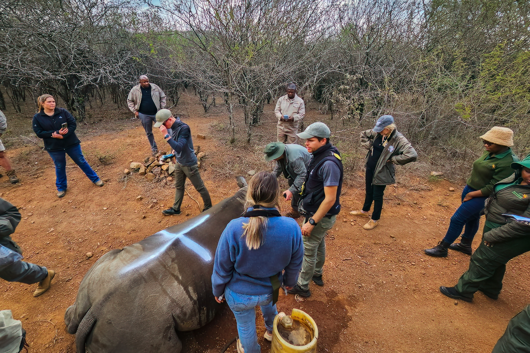 wewild_africa_edited_photos_loskop_2023_2mb-20