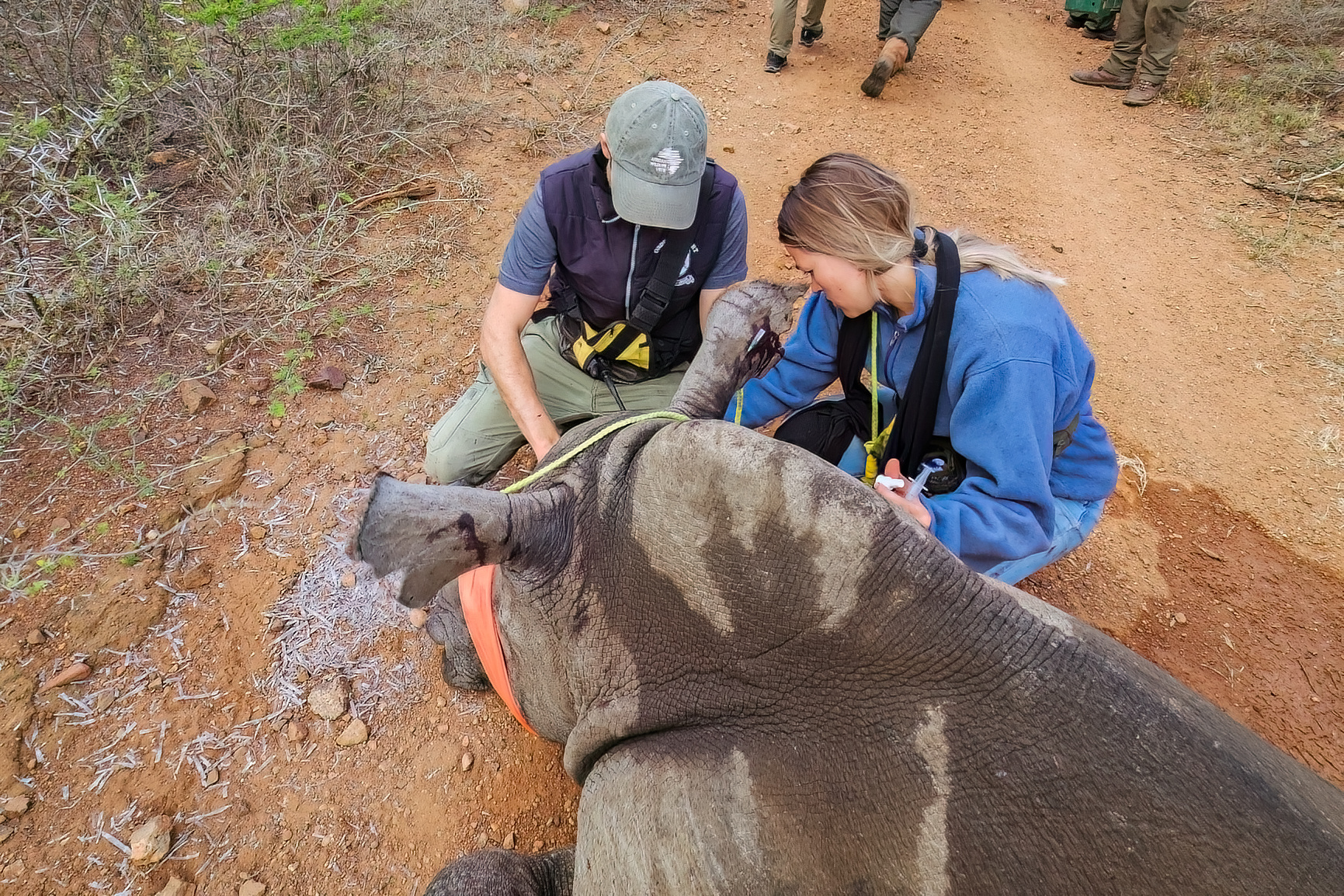 wewild_africa_edited_photos_loskop_2023_2mb-23
