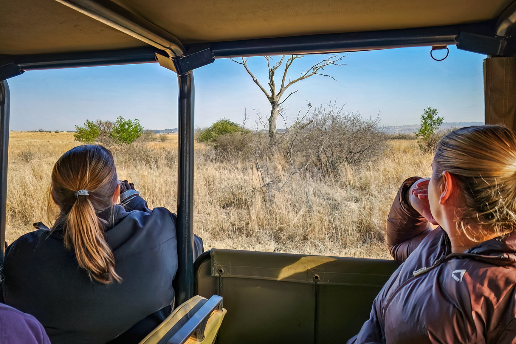 wewild_africa_reitvlei_cheetah_2023-2