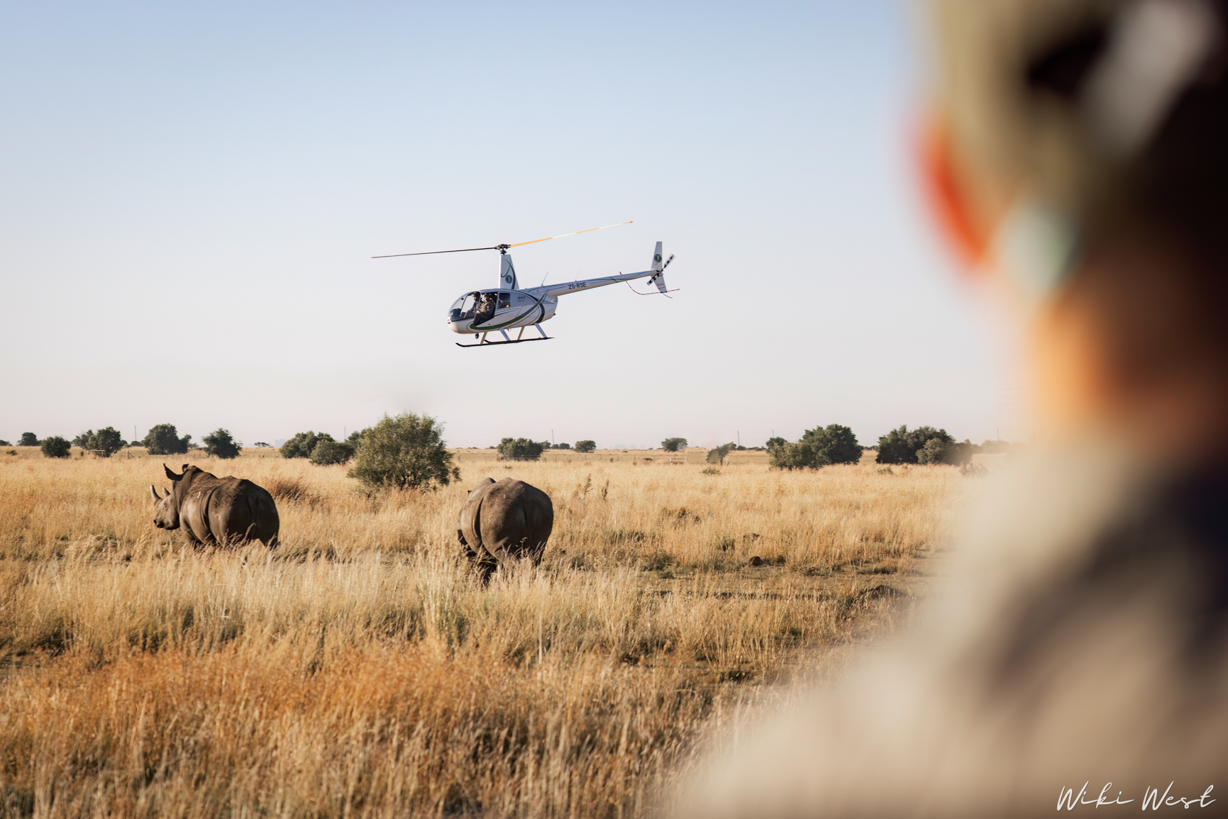 wiki west rhino rewild wewild africa small 2mb-111