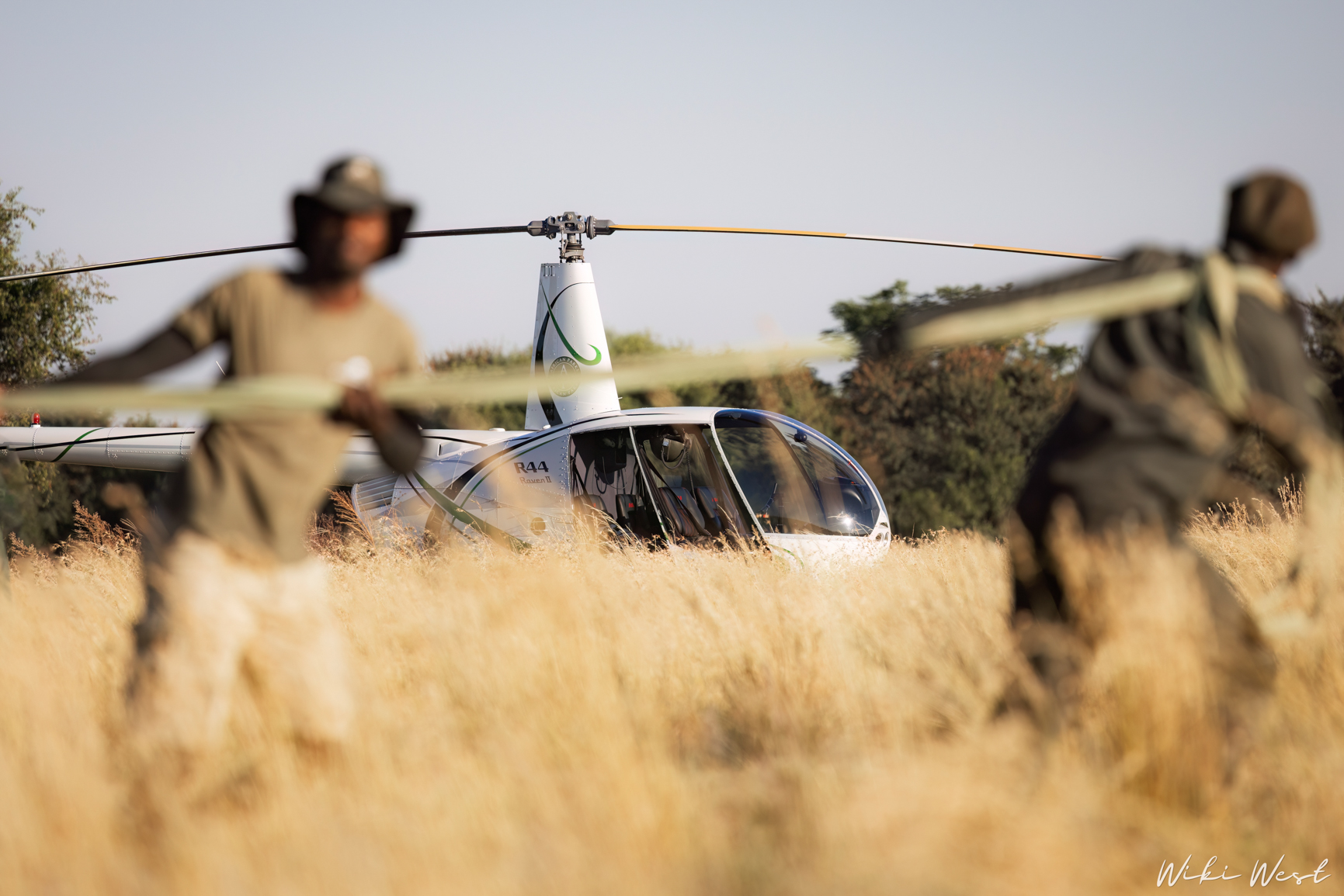 wiki west rhino rewild wewild africa small 2mb-116