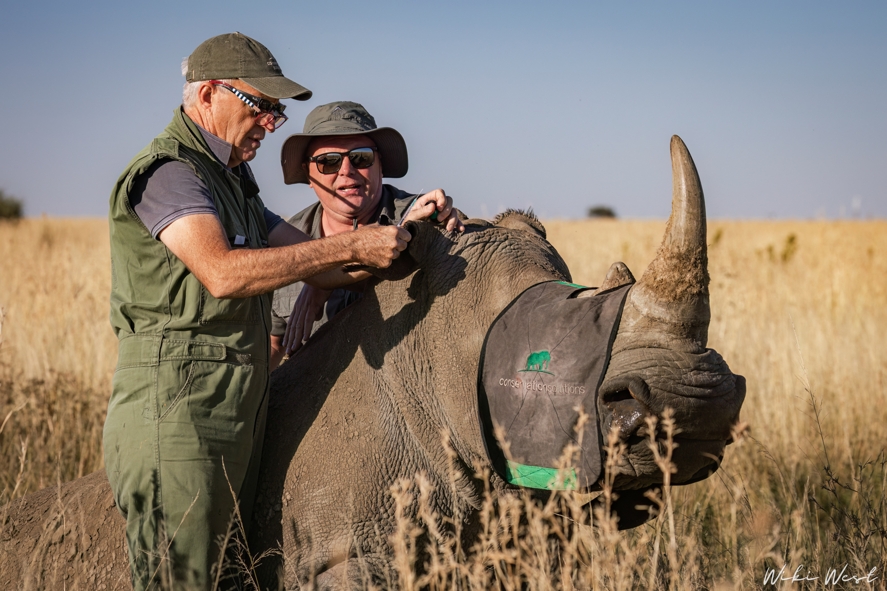 wiki west rhino rewild wewild africa small 2mb-28