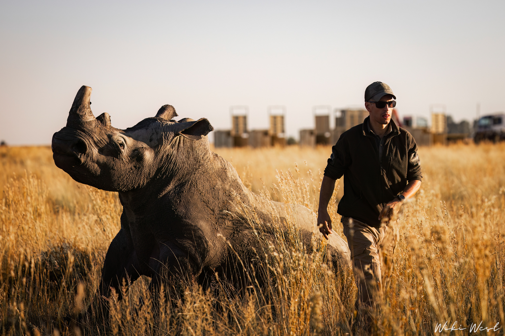 wiki west rhino rewild wewild africa small 2mb-88