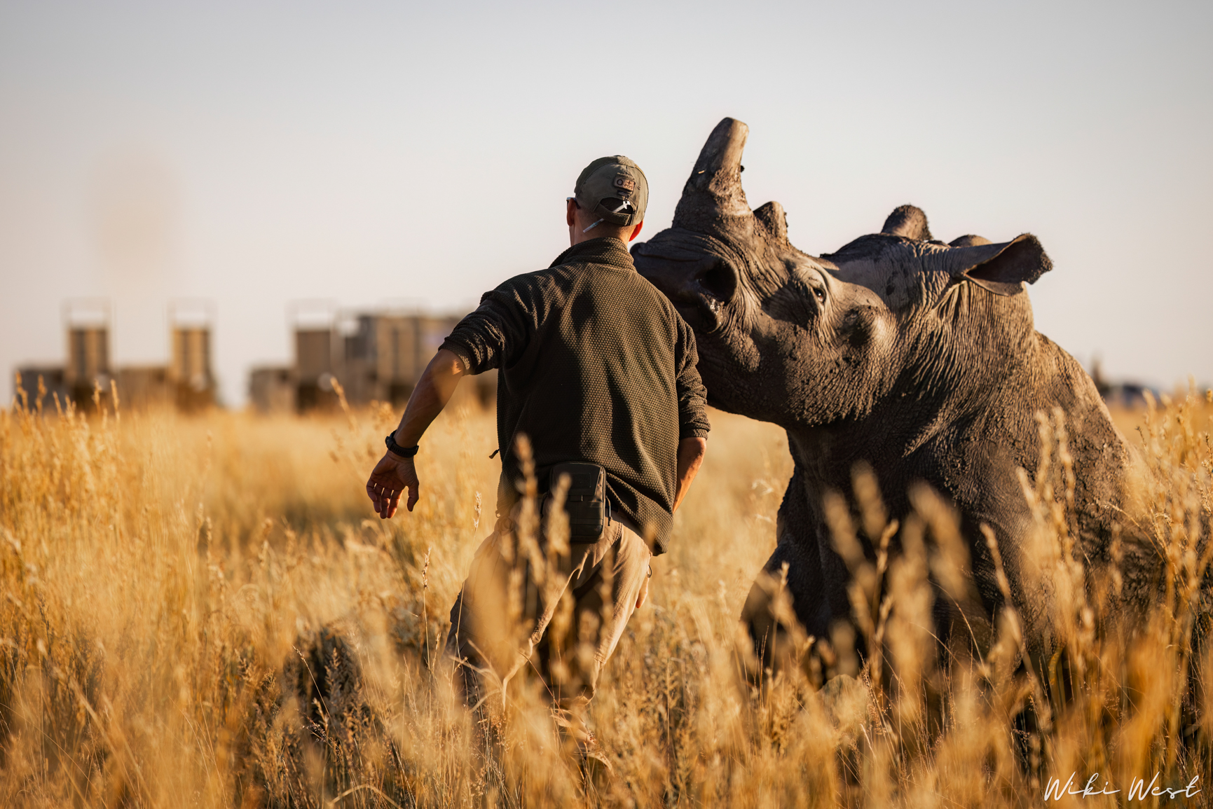 wiki west rhino rewild wewild africa small 2mb-92