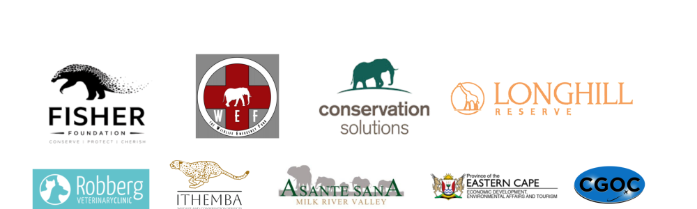 WEF Asante Sana Elephants Logos (1)